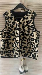Teddy faux fur jasje XL, Ophalen, Zo goed als nieuw, Maat 46/48 (XL) of groter, Zwart