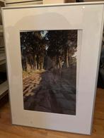 Foto van een oude Romeinse weg, Ophalen of Verzenden