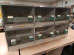 Broedkooien, Dieren en Toebehoren, Vogels | Hokken en Kooien, Ophalen, Hout, Broedkooi of Kweekkooi