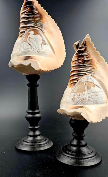 Cassis Madagascarensis cameo scrimshaw uit Italië ppst. Va. beschikbaar voor biedingen