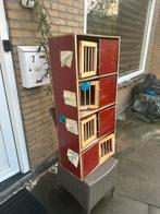 Duiven kooien, Dieren en Toebehoren, Vogels | Hokken en Kooien, Ophalen of Verzenden, Zo goed als nieuw, Hout, Broedkooi of Kweekkooi