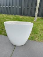 Grote witte bloempot, Ophalen of Verzenden, Halfschaduw, Minder dan 100 cm