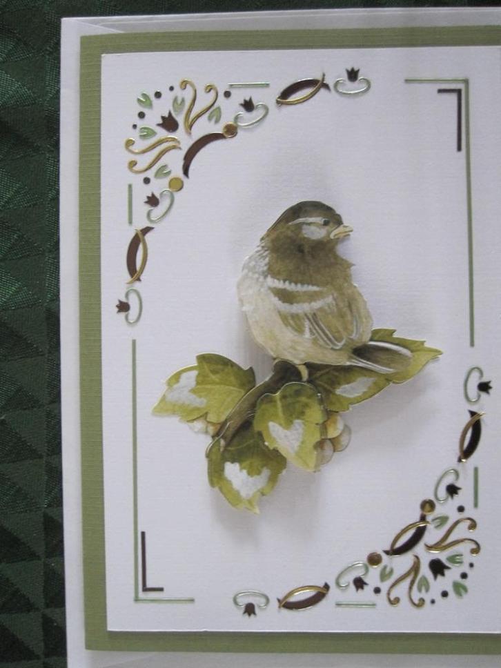 Originele vogel kaarten (3D), Hobby en Vrije tijd, Kaarten | Zelfgemaakt, Nieuw, Dieren, Ophalen
