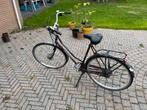 Batavus Locarno Damesfiets, Fietsen en Brommers, Fietsen | Dames | Damesfietsen, Ophalen, Batavus, 50 tot 53 cm, Gebruikt