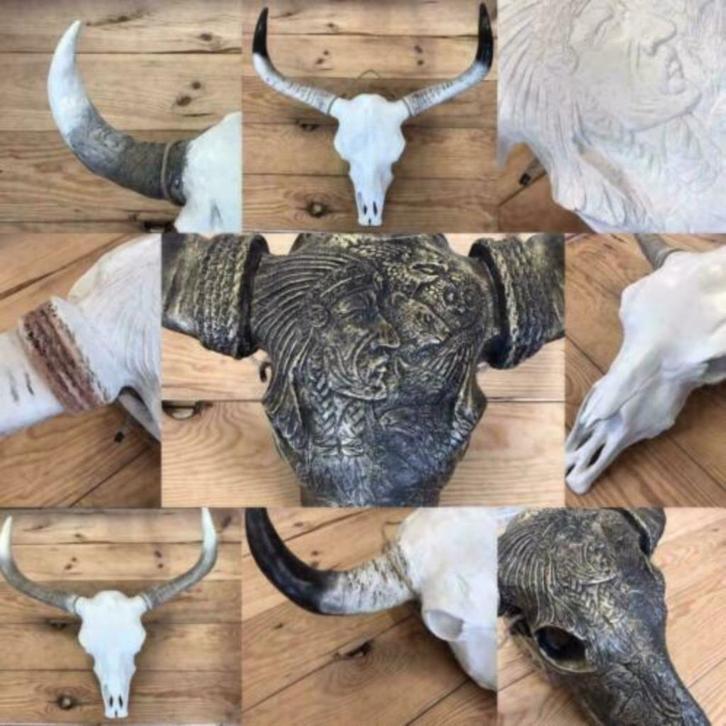 Buffelschedels , Skulls , Longhorn , hoorns , bison schedels, Huis en Inrichting, Woonaccessoires | Overige, Nieuw, Ophalen of Verzenden