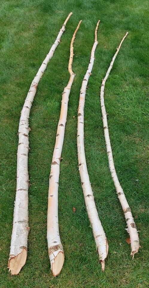 Decoratieve Berkenstammen, Hobby en Vrije tijd, Overige Hobby en Vrije tijd, Nieuw, Ophalen