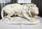 Leeuw Sculptuur naar Barye Terra Cotta 😍😎🤗👀👌, Ophalen of Verzenden