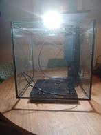 Leuk aquarium, 32x32x32, Dieren en Toebehoren, Vissen | Aquariumvissen, Vis