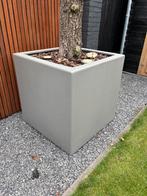 Polyester plantenbak 80x80x80, Tuin en Terras, Bloembakken en Plantenbakken, Ophalen, Zo goed als nieuw, Kunststof, 60 cm of meer