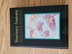 Textbook of Veterinary Anatomy (Third Edition) Engelstalig, Boeken, Ophalen of Verzenden, Beta, Zo goed als nieuw, WO