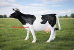 Koe ware groot , boerderij koe, Ophalen of Verzenden, Nieuw, Kunststof, Dierenbeeld
