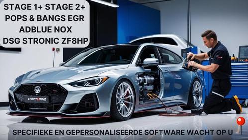 Egr storing uitschakelen gegarandeerd chiptuning op locatie, Auto diversen, Tuning en Styling, Ophalen
