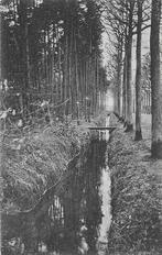 AK Ginneken, Breda - Greppel Mastbosch, Verzenden, Voor 1920, Gelopen, Noord-Brabant