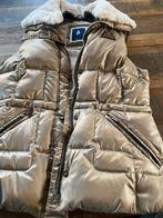 Gaastra Gevoerde Bodywarmer Maat L, Kleding | Dames, Bodywarmers, Maat 42/44 (L), Ophalen of Verzenden, Zo goed als nieuw, Overige kleuren