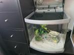 Mooi zgan boyu aquarium, Ophalen, Zo goed als nieuw, Grind, Zand of Voedingsbodem