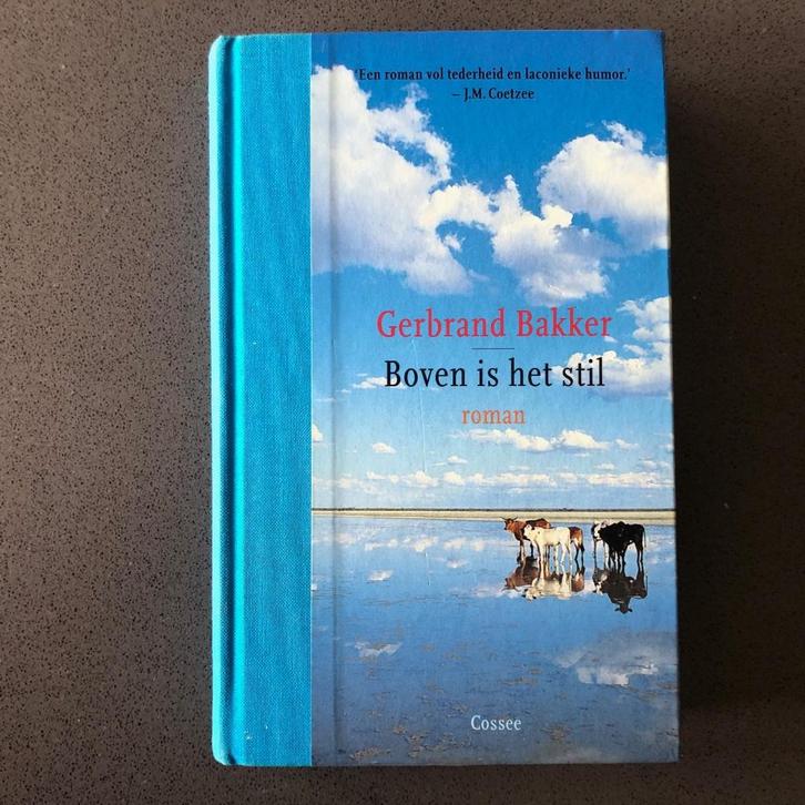 Boek - Boven is het stil - Gerbrand Bakker, Boeken, Literatuur, Gelezen, Nederland, Ophalen of Verzenden