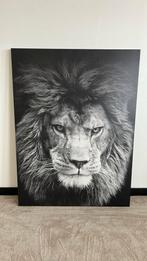 Canvas schilderij Leeuw, Ophalen, Zo goed als nieuw, Schilderij, 100 tot 125 cm