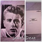 Vintage James Dean persfoto 18 bij 13 cm zie de foto’s, Ophalen of Verzenden, Zo goed als nieuw, Foto of Kaart