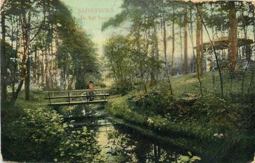 (388-021-027) Driebergen-Rijsenburg In het Bosch beschikbaar voor biedingen
