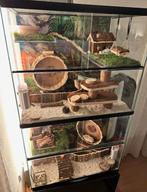 Dubbele hamsterhok of terrarium, zonder hamster, Dieren en Toebehoren, Knaagdieren en Konijnen | Hokken en Kooien, Ophalen, Zo goed als nieuw