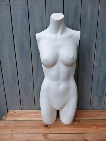 dames torso paspop vrouw buste beschikbaar voor biedingen