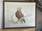 Zeearend Tekening Ingelijst, Ophalen