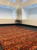 Brink en Campman Spring tapijt, Huis en Inrichting, Ophalen, Nieuw, Rechthoekig, 200 cm of meer