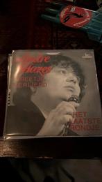 Andre hazes - n beetje verliefd/laatse rondje, Cd's en Dvd's, Vinyl | Nederlandstalig, Ophalen of Verzenden, Zo goed als nieuw
