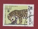 Fauna - Katachtigen - Polen - Jaguar - Zoo Warschau 50 jr, Ophalen of Verzenden, Gestempeld, Dier of Natuur