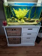 Aquarium, Dieren en Toebehoren, Vissen | Aquaria en Toebehoren, Ophalen