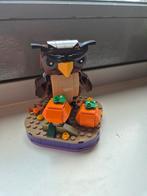 Lego 40497 Uil, Kinderen en Baby's, Speelgoed | Duplo en Lego, Ophalen of Verzenden, Zo goed als nieuw, Complete set, Lego