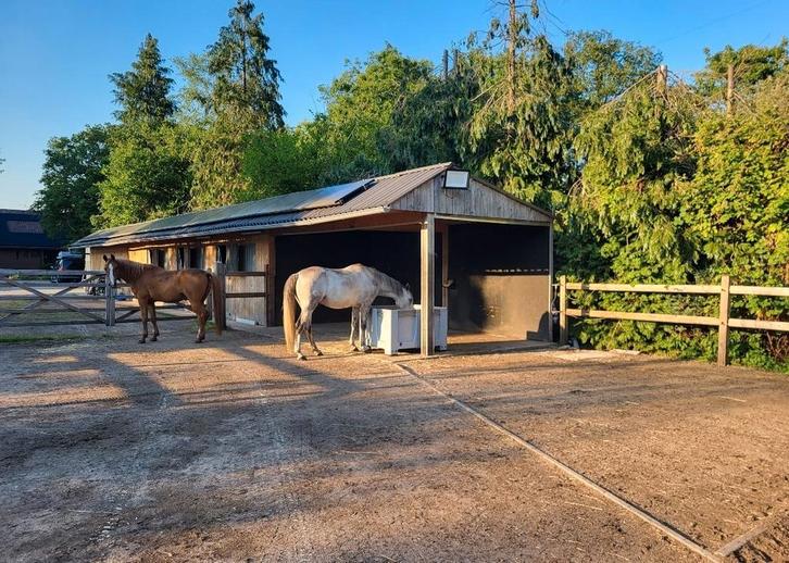 Stalling in het bos loenen, Dieren en Toebehoren, Stalling en Weidegang, Stalling, Weidegang