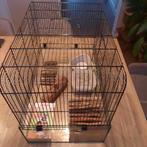 Hamsterkooi - knaagdier kooi/hok, Dieren en Toebehoren, Minder dan 75 cm, Hok, Hamster, Ophalen