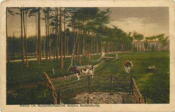 (377-483-003) Rijsenburg Weide i h Rijsenburgsche Bosc beschikbaar voor biedingen
