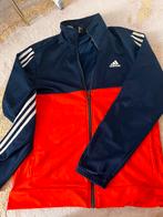 Adidas Trainingspak Maat L, Maat 52/54 (L), Overige kleuren, Ophalen of Verzenden, Zo goed als nieuw