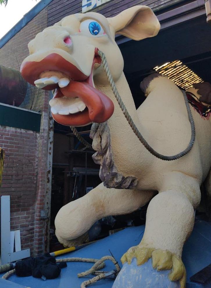 kameel, Hobby en Vrije tijd, Overige Hobby en Vrije tijd, Zo goed als nieuw, Ophalen