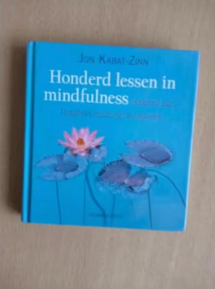 Jon Kabat-Zinn - Honderd lessen in mindfulness, Boeken, Psychologie, Zo goed als nieuw, Ophalen of Verzenden