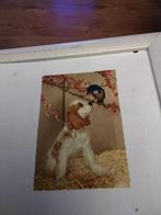 AMERIKAANSE COCKER SPANIEL-PUPPY. MET VOGEL, Ophalen of Verzenden, 1980 tot heden