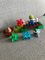 Lego duplo 10581 bos eenden, Ophalen of Verzenden, Zo goed als nieuw, Complete set, Duplo