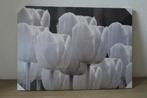 NIEUW Canvas doek 70 x 50 x 2 cm dik, Ophalen, Nieuw