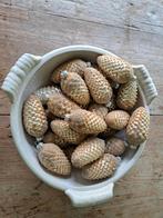 Mooie Grote Witte Fruitschaal Gevuld met Dennenappels, Diversen, Kerst, Ophalen of Verzenden