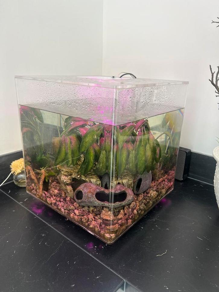 BiOrb Cube 60 MCR Transparant (kleur led) aquarium, Dieren en Toebehoren, Vissen | Aquaria en Toebehoren, Zo goed als nieuw, Leeg aquarium