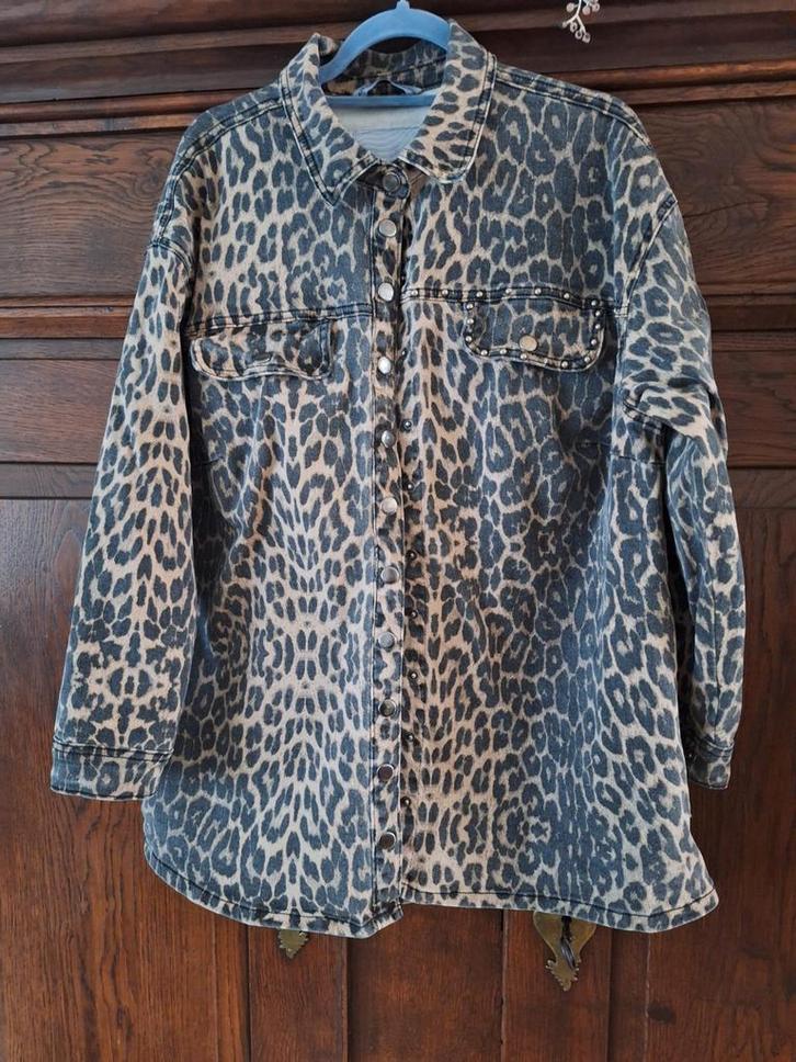 Stoer Broekpak met Luipaardprint, Kleding | Dames, Grote Maten, Zo goed als nieuw, Bruin, Ophalen of Verzenden