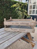 Gaasbakken/Bollenbakken, Ophalen, Gebruikt, Minder dan 30 cm, 60 tot 100 cm