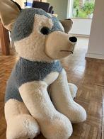 Grote Knuffelhond, Ophalen of Verzenden, Gebruikt, Hond