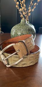 Andrea D'amico CROCO Belt Riem XXL GROOT! Unisex D Amico, ANDREA D'AMICO, Verzenden, Echt leder, Tailleriem