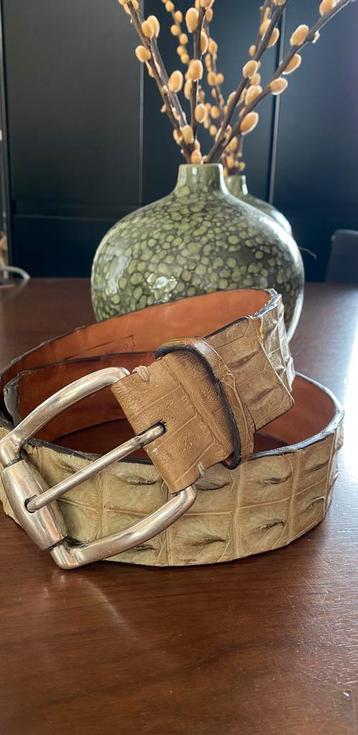 Andrea D'amico CROCO Belt Riem XXL GROOT! Unisex d amico beschikbaar voor biedingen