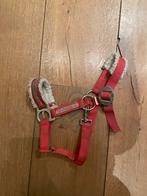 Kerst Shetlander halster, Dieren en Toebehoren, Ophalen of Verzenden, Gebruikt