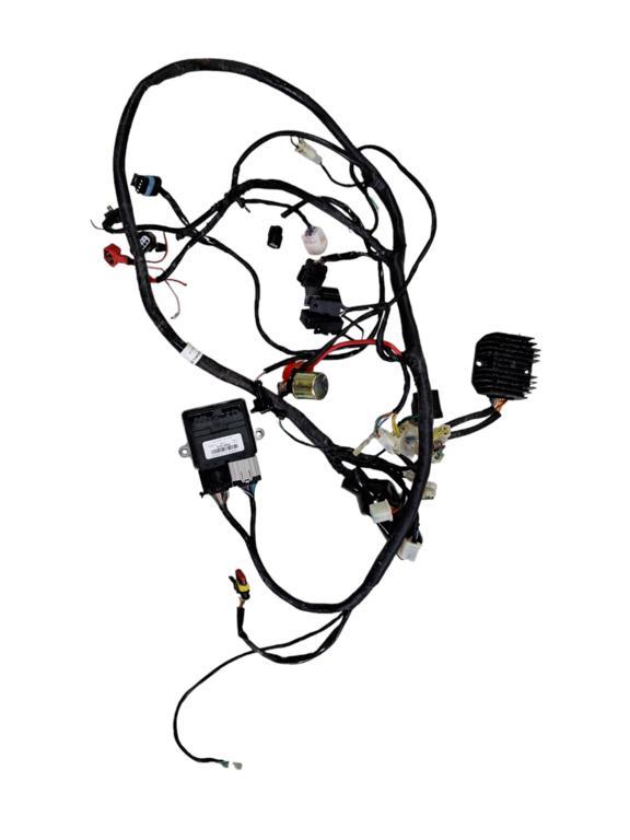 Kabelboom origineel AGM retro scooter injectie ecu spannings, Fietsen en Brommers, Brommeronderdelen | Scooters, Gebruikt, Ophalen of Verzenden