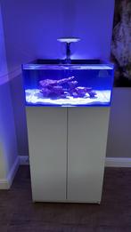 Zee aquarium, Ophalen, Zo goed als nieuw, Leeg aquarium